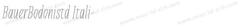 BauerBodonistd Itali字体转换